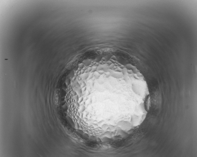 X0000077990715200611171754