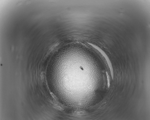 X0000077990716200611171754