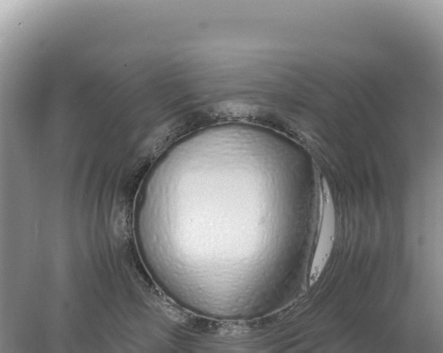 X0000077990718200611171754