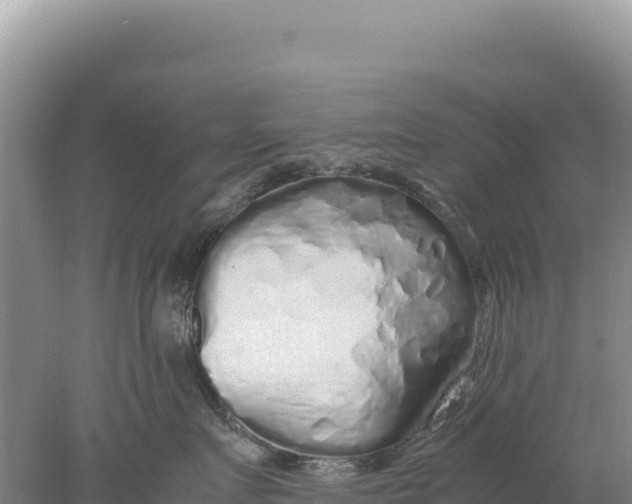 X0000077990719200611171754