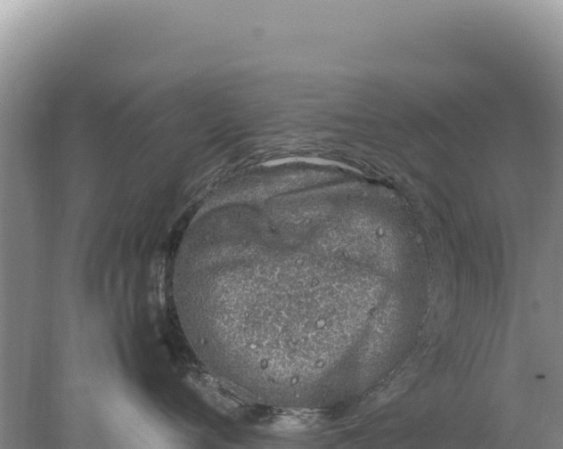 X0000077990720200611171754