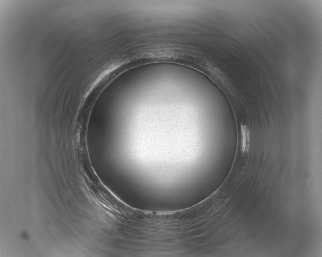 X0000077990723200611171754