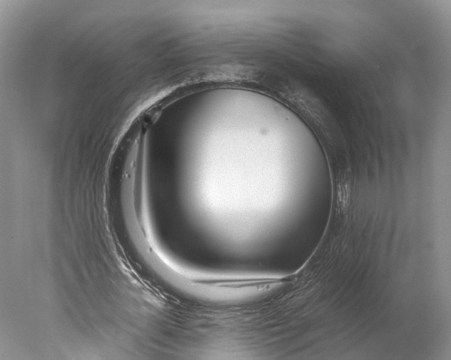 X0000077990724200611171754