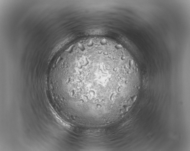 X0000077990725200611171754