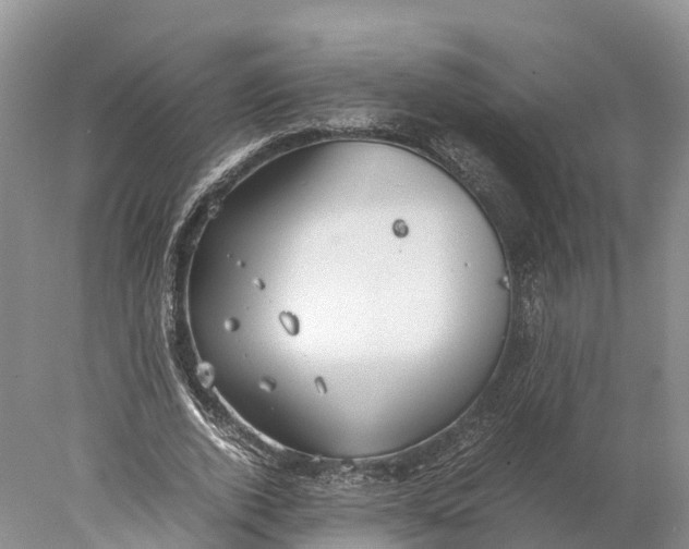 X0000077990728200611171754