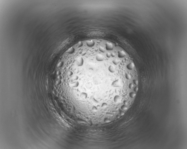 X0000077990729200611171754