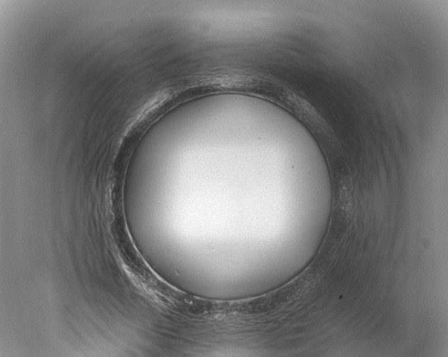 X0000077990730200611171754