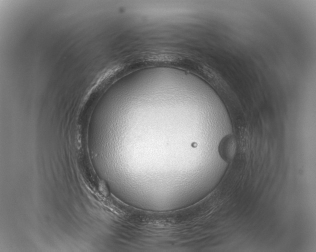 X0000077990731200611171754