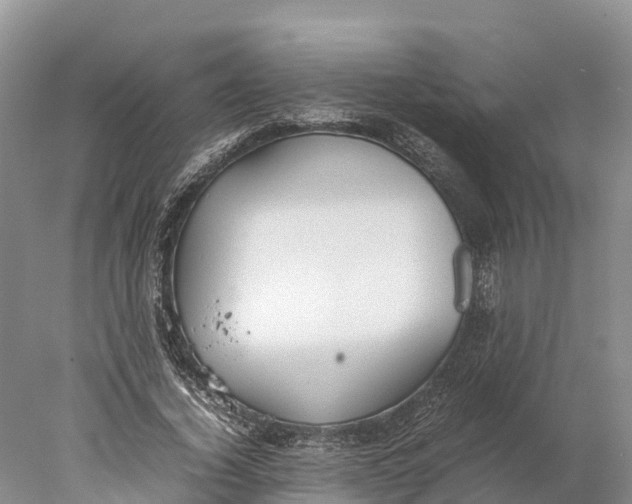 X0000077990732200611171754