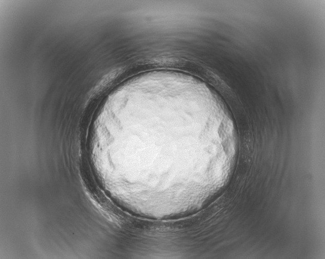 X0000077990734200611171754