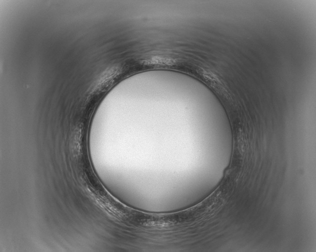 X0000077990735200611171754