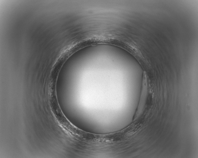 X0000077990736200611171754