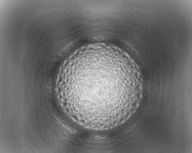 X0000077990737200611171754