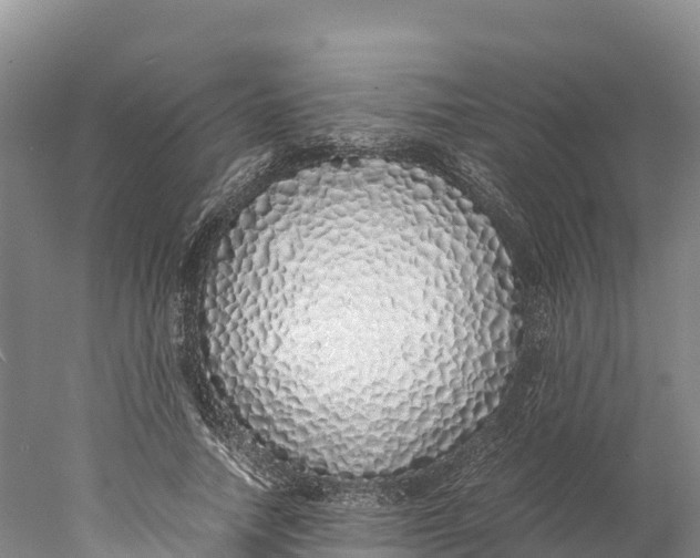 X0000077990738200611171754