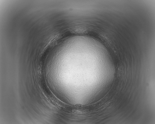 X0000077990739200611171754