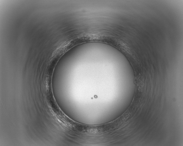 X0000077990740200611171754