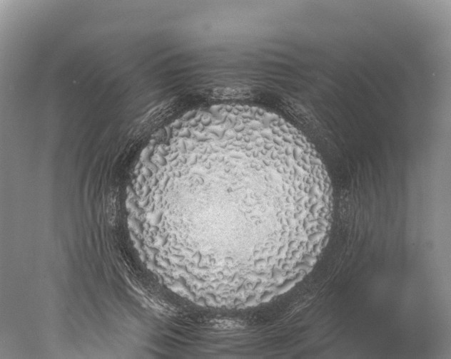 X0000077990741200611171754