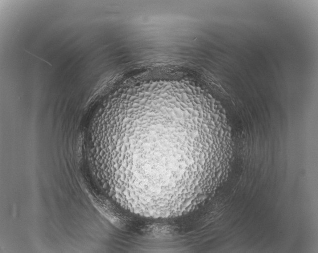 X0000077990742200611171754