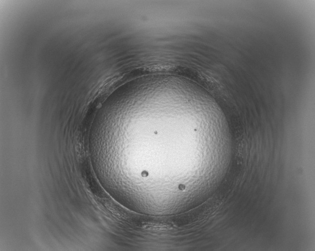 X0000077990743200611171754