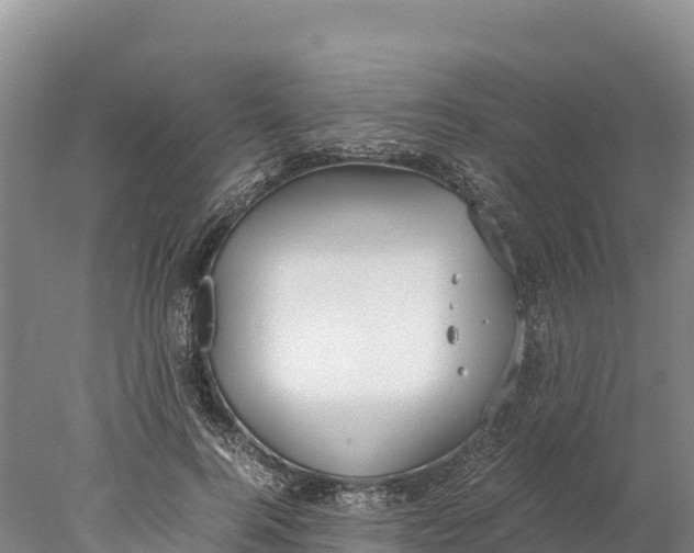 X0000077990744200611171754