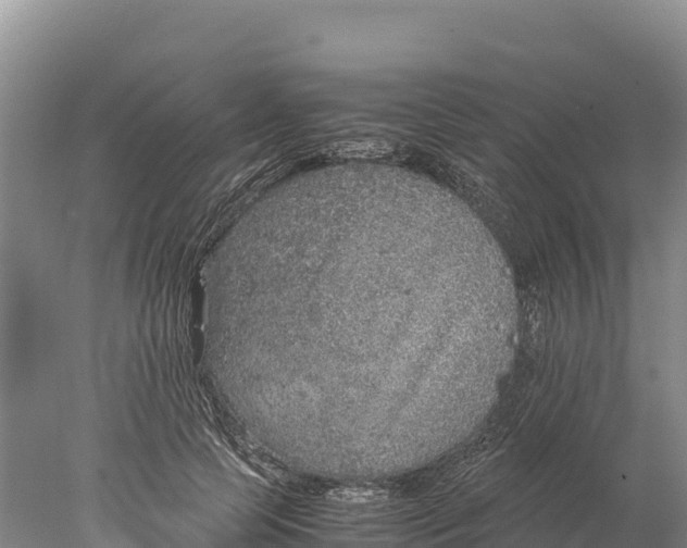 X0000077990745200611171754