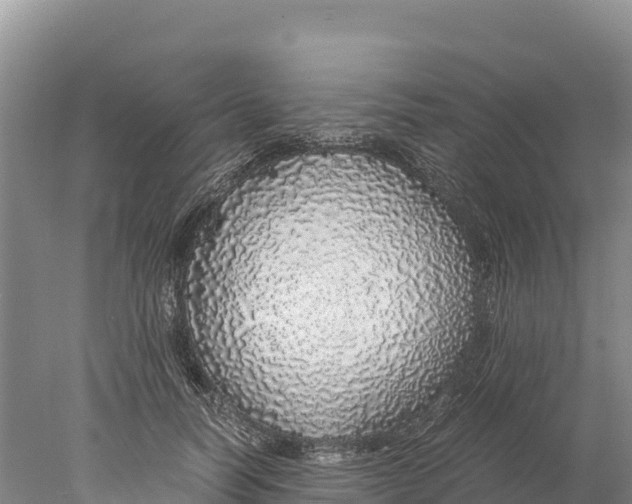 X0000077990746200611171754