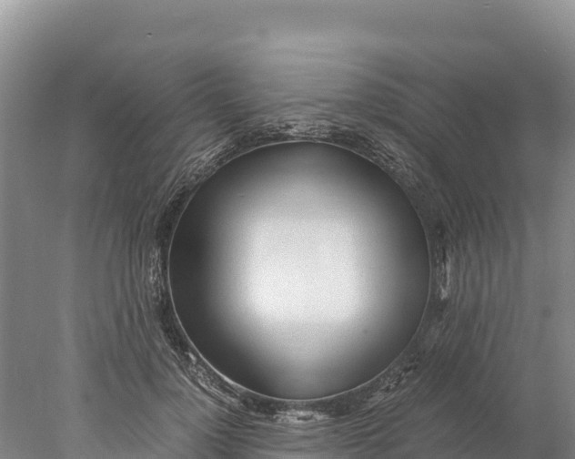 X0000077990748200611171754