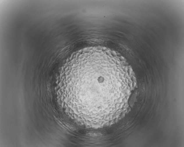 X0000077990749200611171754