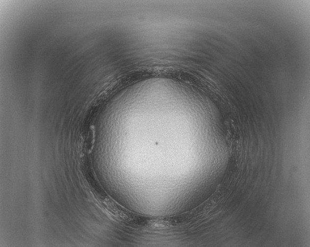 X0000077990750200611171754