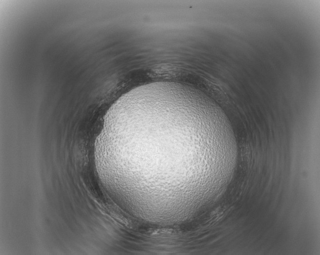 X0000077990751200611171754