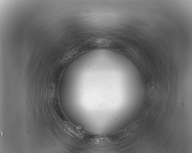 X0000077990752200611171754