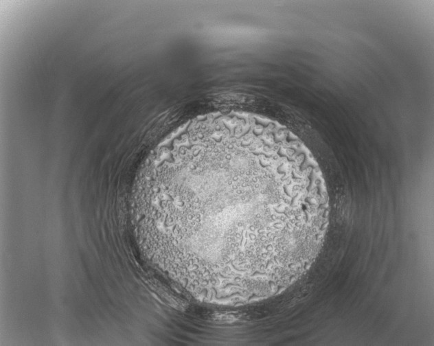 X0000077990753200611171754