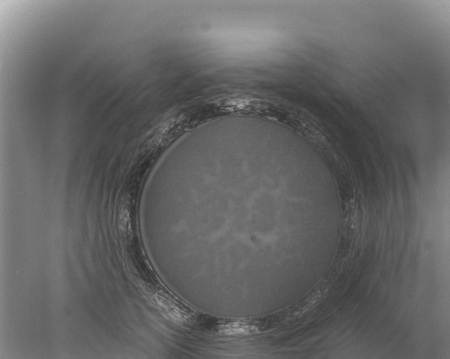 X0000077990754200611171754