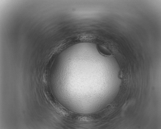 X0000077990755200611171754