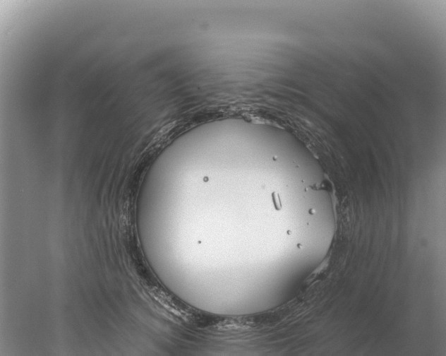 X0000077990756200611171754