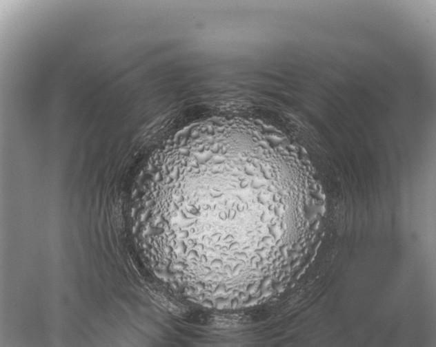 X0000077990757200611171754