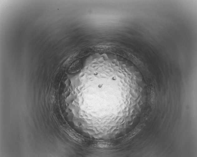 X0000077990758200611171754