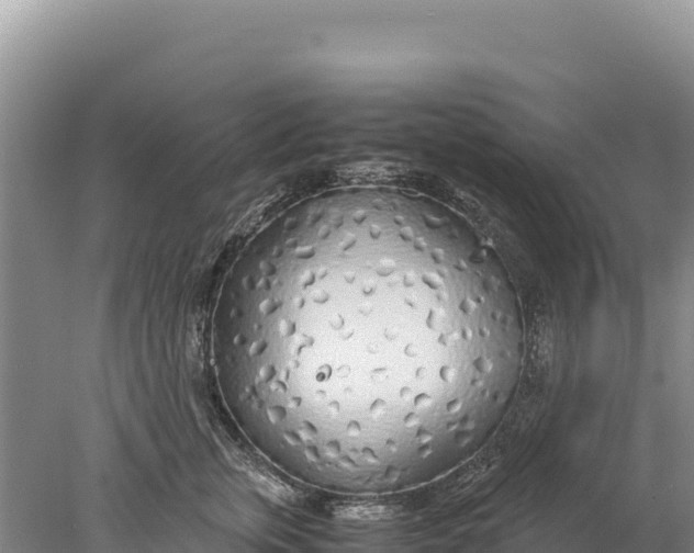 X0000077990759200611171754