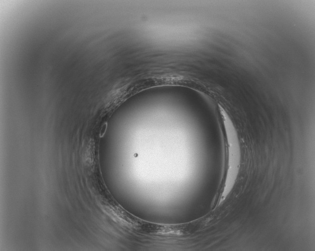 X0000077990760200611171754