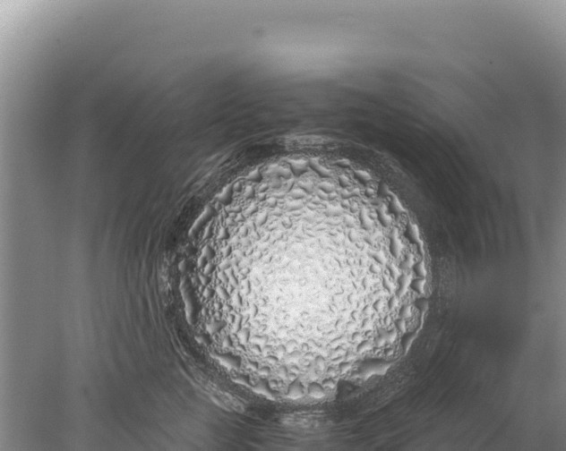 X0000077990761200611171754