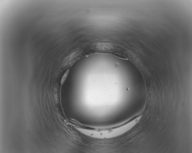 X0000077990762200611171754