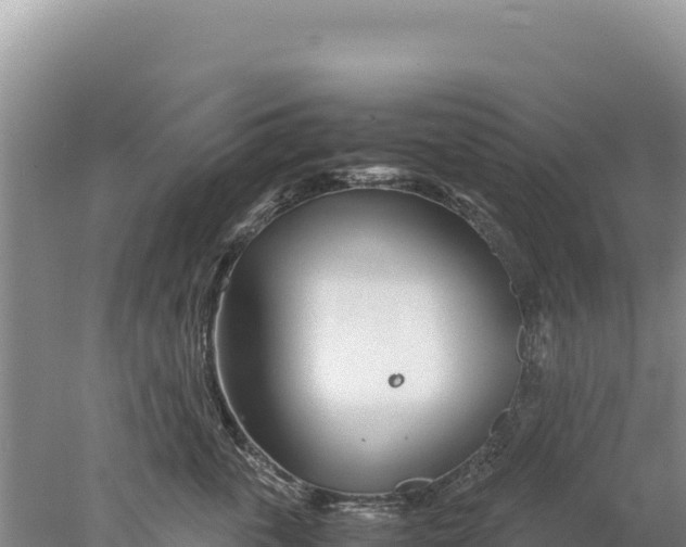 X0000077990763200611171754