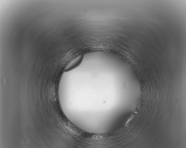 X0000077990764200611171754