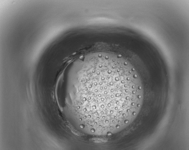 X0000077990765200611171754