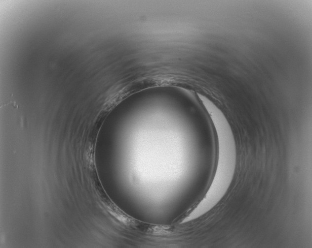 X0000077990766200611171754