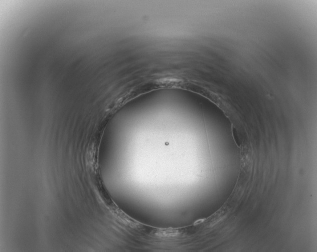 X0000077990767200611171754