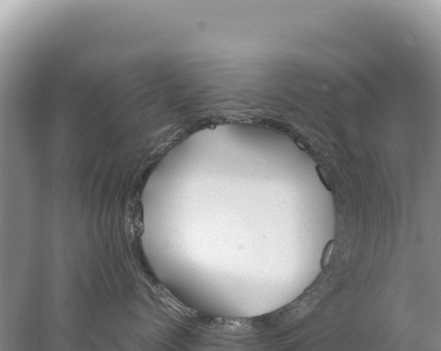 X0000077990768200611171754