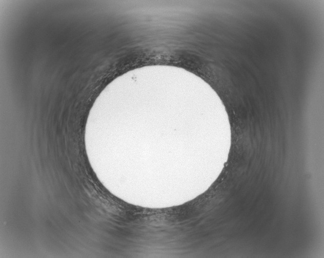 X0000077990769200611171753