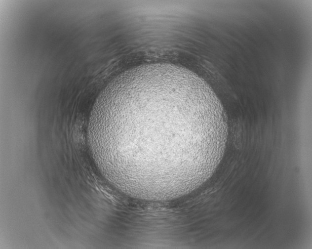 X0000077990770200611171753