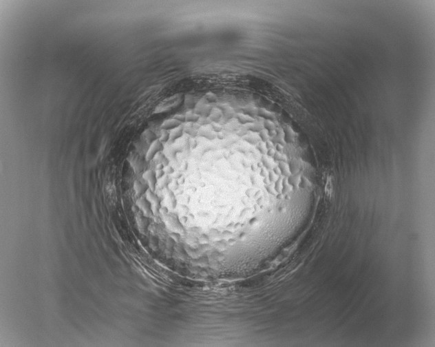 X0000077990771200611171753